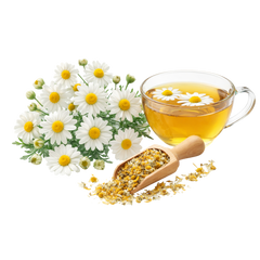 Chamomile