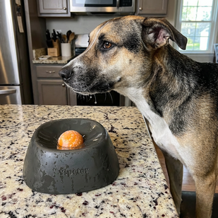 Slows Gulping to Calm Licking