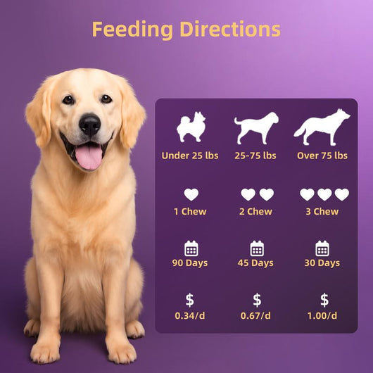 HAPWAG 8 - in - 1 Multivitamin Soft Chews for Dogs - PAWFY